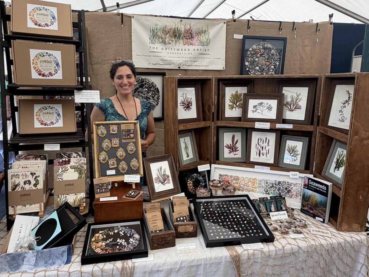 The Driftweed Artist displaying her seaweed and shell artwork