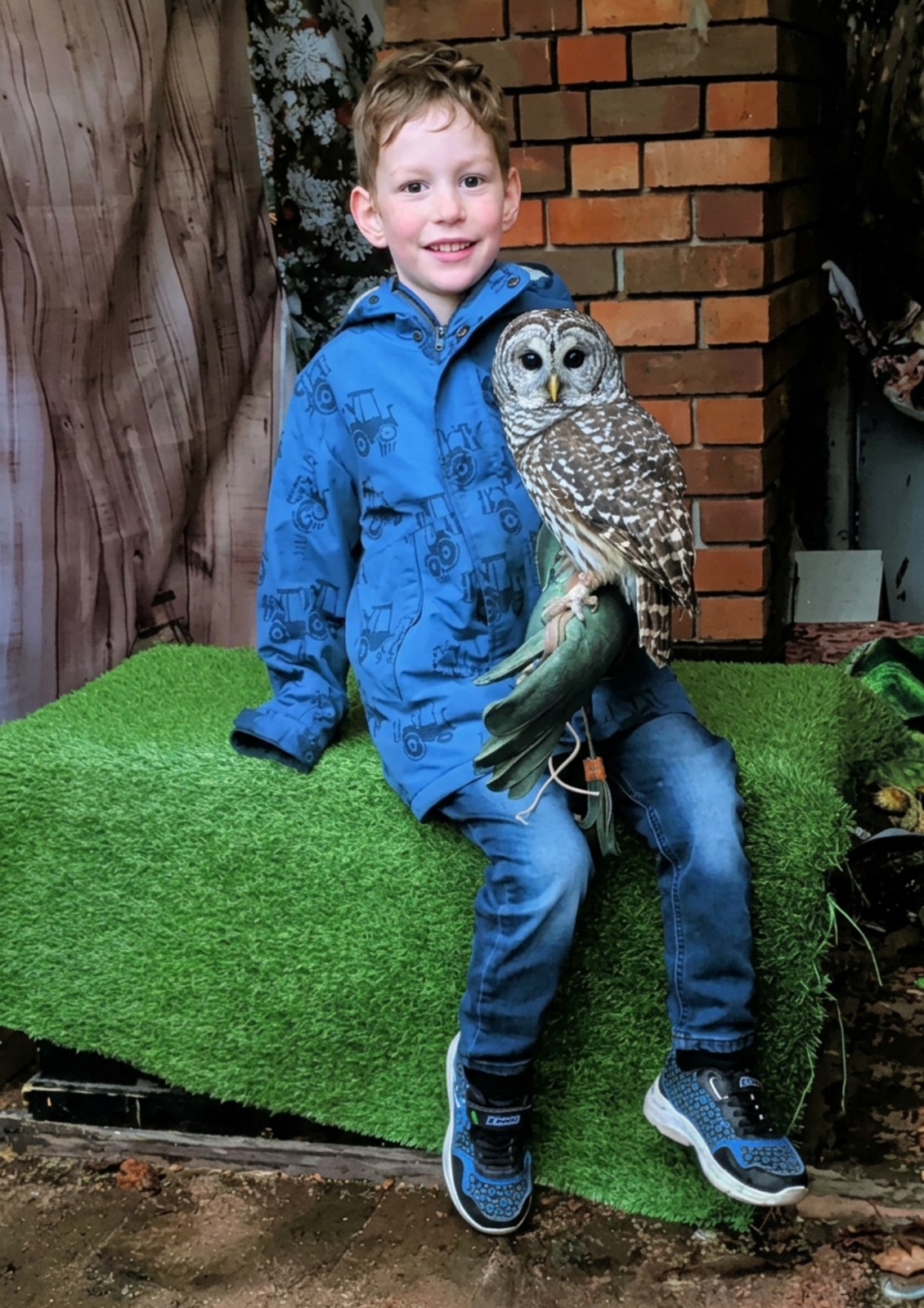 Owl experience