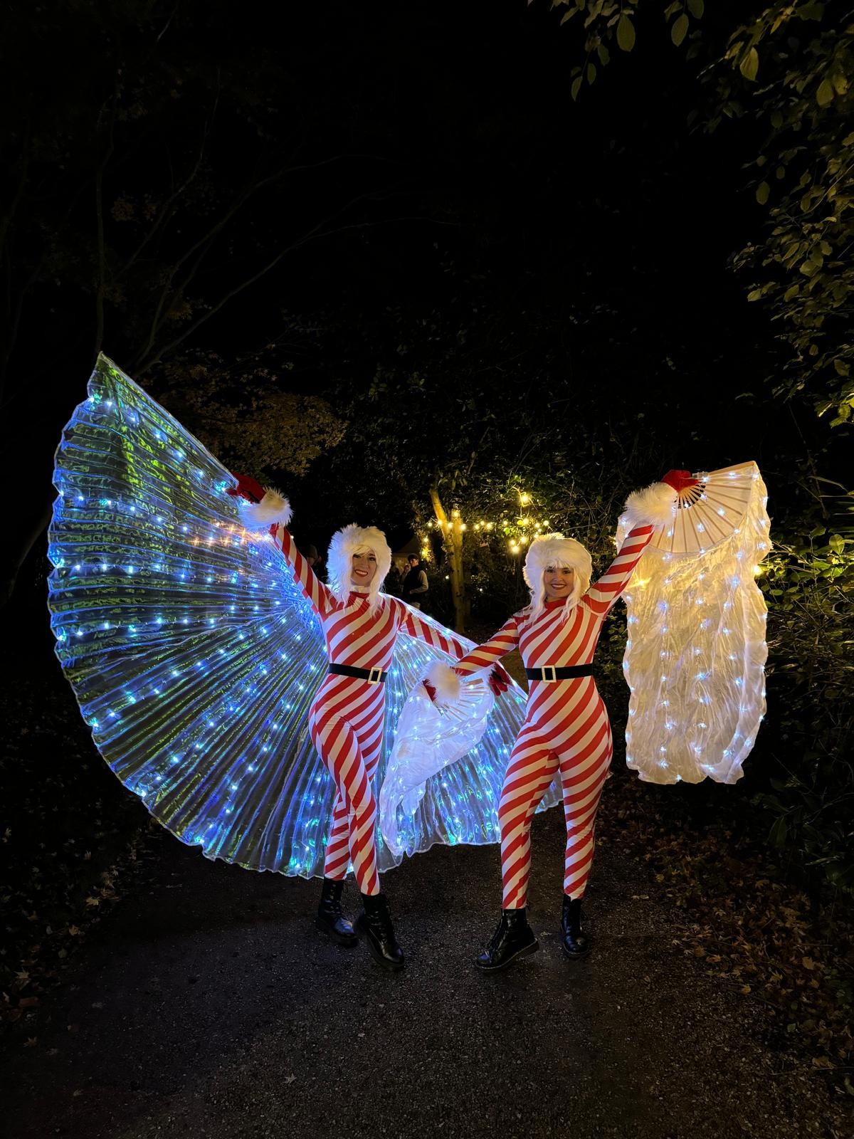 Festive performers with colourful illuminated wings